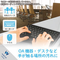 【アウトレット】【Goエシカル】訳あり ウェットティッシュ 除菌 ボトル 80枚 WC-AG80N エレコム 1個