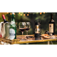 バルミューダ ライト L02A-BK 1個