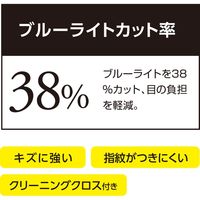 ナカバヤシ 着脱カンタン! Surface Go用覗き見防止フィルム TBF-SFG18FLGPV 1個