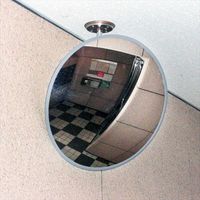 信栄物産 防犯ミラー フレキシブルタイプ グレー H-30 1枚