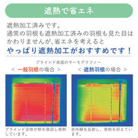 【1cm単位】プロ仕様ブラインド幅50cm×高70cm＜遮熱タイプ＞ ctb835-50x70r48 1セット トーソー（直送品）