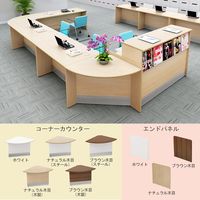 【軒先渡し】Y2K AKIRA ローカウンター専用 コーナー用パネル 幅24×奥行738×高さ765mm ホワイト LC-END-WH 1台（直送品）