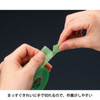 ニチバン 小巻養生テープ 幅25mm×18m 緑 184S-25