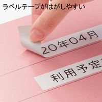 アスクル フラットファイル 厚とじ PPラミネート A4タテ ピンク FF-W2LS 1袋（10冊入）  オリジナル