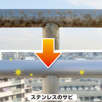 カンペハピオ 復活洗浄剤 ステンレス用 1L #00017660031010 1個