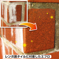 カンペハピオ 復活洗浄剤 エフロ用 4L #00017660061040 1個