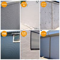 カンペハピオ らくがき落としクリーナー 250ML #00027660202250 1個