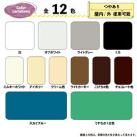 カンペハピオ ハピオフレンズ チョコレート色 3L #00077650241030 1個