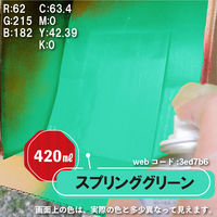 カンペハピオ 油性シリコンラッカースプレー スプリンググリーン 420ML #00587644422420 1個