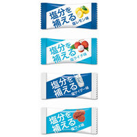 スマチャ！ 塩キャンディー4種アソート 1袋（ 500g）鈴木栄光堂 塩飴