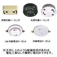 【アウトレット】ディクラッセ ペンダントライト LED Etoile P/L F LP3091FR 1個