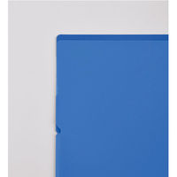 5インデックスホルダー＜Glassele＞（グラッセル）A4ヨコブルー フ-GL755B コクヨ 1枚