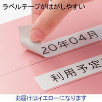 アスクル フラットファイル 厚とじ PPラミネート A4タテ イエロー FF-W2LS 1セット（30冊：10冊入×3袋）  オリジナル