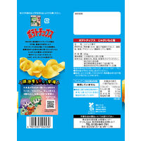 小袋 ポテトチップス じゃがいもと塩 24袋 湖池屋 スナック菓子 おつまみ