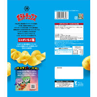 Largeサイズ ポテトチップス じゃがいもと塩 6袋 湖池屋 スナック菓子 おつまみ