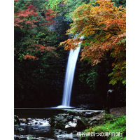 三和 高品質 日本製 抗菌レギュラー綿棒(個包装) SR-2W 1箱(10000本)（直送品）