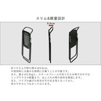 SANKEI GARDE STUDIO 折りたたみイス エールN ブラック NT-FC-22061(ヌード) 1脚（直送品）