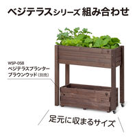 タカショー ベジテラストロリープランター キャスター付 ブラウン WSP-06B 1台