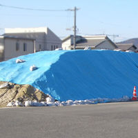 萩原工業 ターピー エコフレンドシート #3000　実寸法　約3.58×3.52ｍ　約8帖 42129　1枚（直送品）