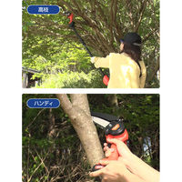 ファミリー・ライフ 充電式コードレス2WAY高枝チェーンソー 8点セット 04169 1個