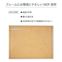 アスカ マグピンコルクボード L CB351 1枚