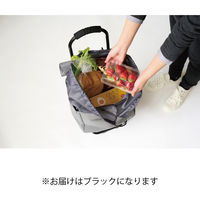 レップ ノワール 2層式カートセット 重いものと潰れやすいものを上下分けて収納できる 527719 1台（直送品）