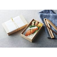 スドウ TT折箱 7寸浅のせ蓋 SD301799-20 1セット(20個)（直送品）