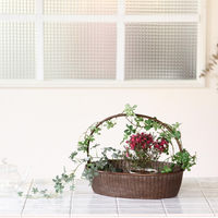 スパイス ブリキハンドル付きオーバルトレイS BAGS2221CP 1個（直送品）