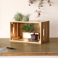 スパイス たけやか バンブーコンテナボックス KJLS2280 1個（直送品）