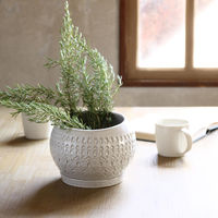 スパイス ポッテ ラウンドプランターL XDGS2043 1個（直送品）