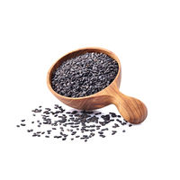 小谷穀粉 OSK ティーフレッシュ ごま健康麦茶 1袋（40バッグ入）