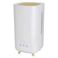 エスケイジャパン 上部給水超音波加湿器 SKJ-LH40MKT(WH) 1個（直送品）