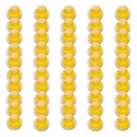 中島大祥堂 【50個セット】ピッコロドルチェアップル＆パイン味 10419311-50（直送品）