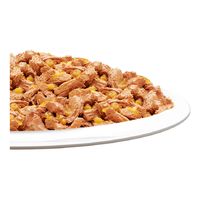 フィリックス 猫 やわらかグリル 成猫 あじ 50g 48袋 ネスレ日本 キャットフード