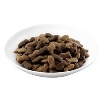 モンプチ バッグ 5種のお腹にやさしいブレンド 600g 3袋 ネスレ日本 キャットフード 猫