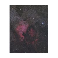 ビクセン レデューサーHDキットfor FL55SS 37253 1セット 63-5500-94（直送品）