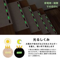 サンコー 吸着 蓄光 階段マット ライトベージュ KX-81 洗える ずれない 消臭 日本製 55×21cm 15枚入 すべり止め（直送品）