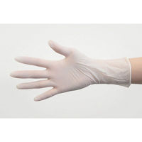 パックスタイル  ニトリル手袋6001粉無 S 白 00734317 3000枚(100枚×30)（直送品）