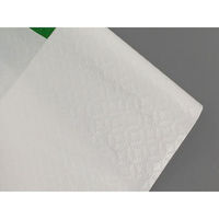 パックスタイル PS リユースレジ袋 427506 1袋(100個)（直送品）