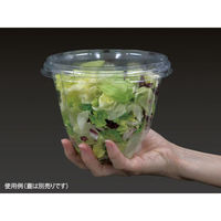 パックスタイル 麺・スープ容器 33ozサラダ 本体 534555 1袋(50個)（直送品）