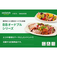 パックスタイル バガス容器 BBオードブル 小判2 ラミ 654442 1袋(10個)（直送品）