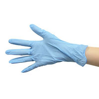 パックスタイル PSニトリル手袋 スタンダード 青・粉無 SS 00531621 1袋(100個)（直送品）