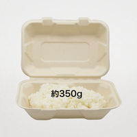 パックスタイル バガス容器 BBランチ 220-150(5枚入) 00678161 1袋(1個)（直送品）