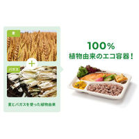 パックスタイル バガス容器 WB弁当 24-20A ラミ 653880 1袋(50個)（直送品）