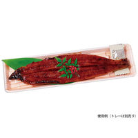 ユニバース フィルムケース グルメシート 南天 丸 10801 1袋(1000個)（直送品）