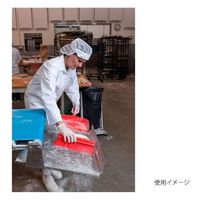 ヴァイカン ちりとり ダストパン レッド 56604 1個（直送品）