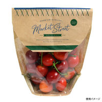 パックスタイル 青果用袋 クラフトスタンドバッグ MS 14-17 00680565 1袋(50個)（直送品）