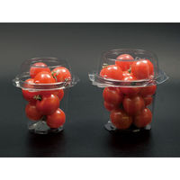 パックスタイル 青果・農産容器 ミニトマトカップ SP-280 609448 1袋(50個)（直送品）