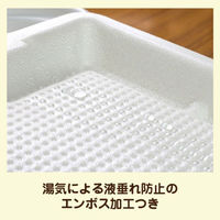 JSPパッケージング 弁当容器 テイクアウトボックス24-24CB 255605 1袋(50個)（直送品）