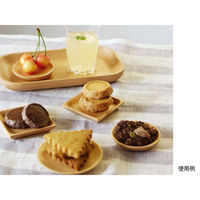 トーダイ 食器・皿 V-058 ブナ 長角プレート 18 3510058V 1袋(1個)（直送品）